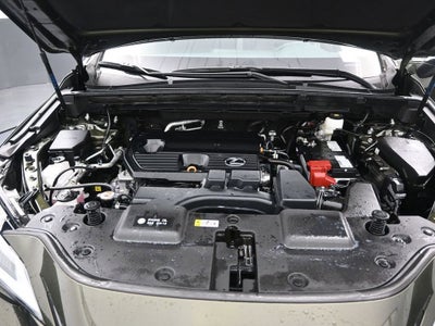 2024 Lexus NX NX 250