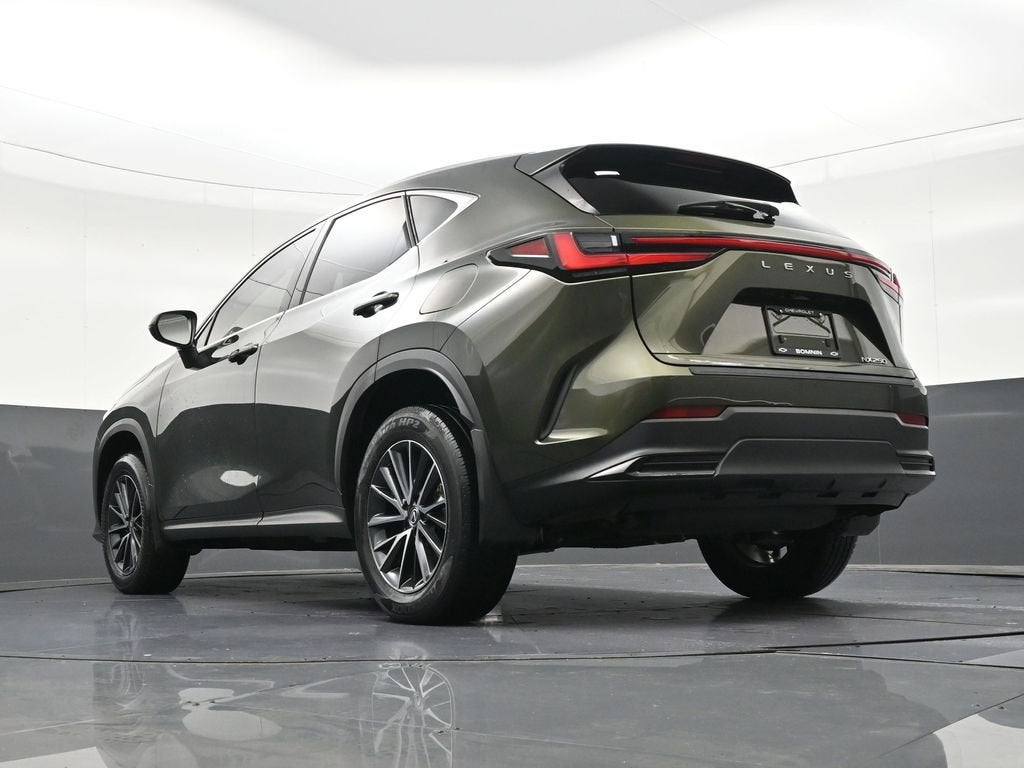 2024 Lexus NX NX 250
