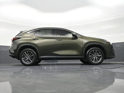 2024 Lexus NX NX 250