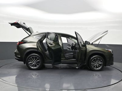 2024 Lexus NX NX 250