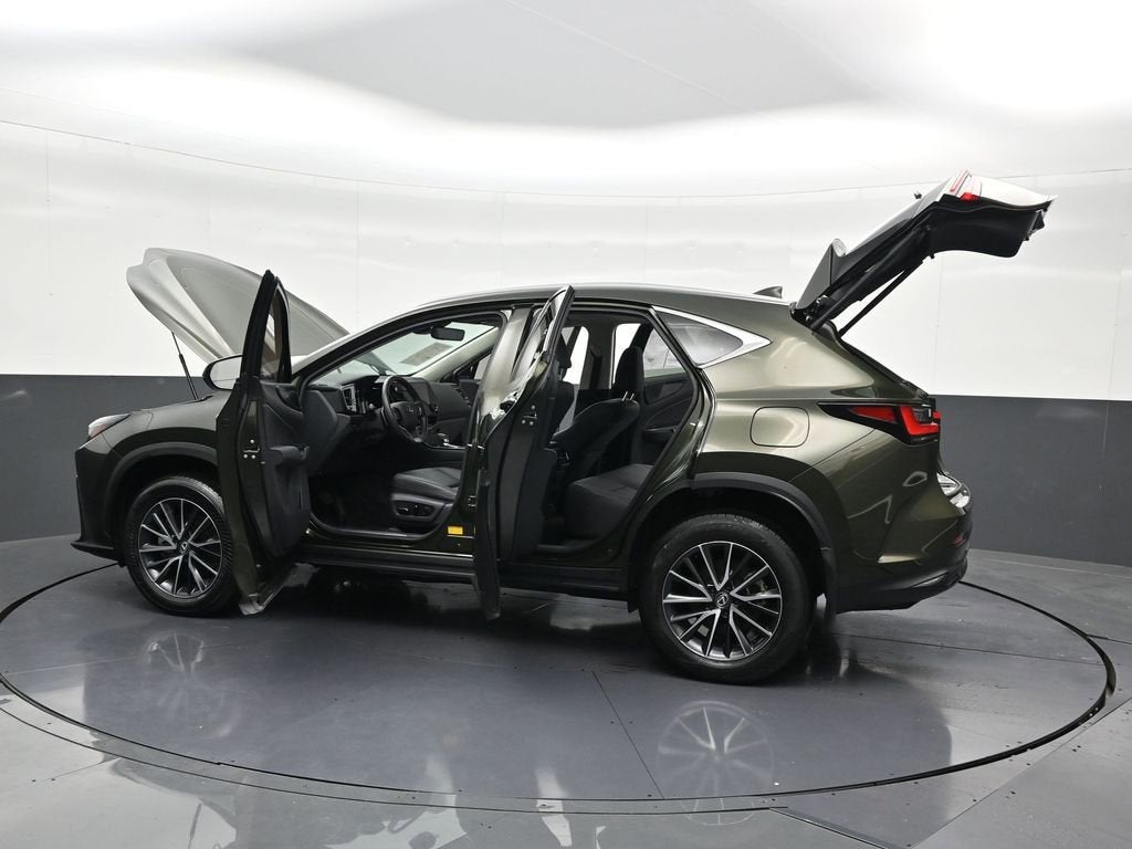 2024 Lexus NX NX 250