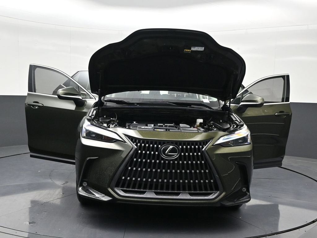 2024 Lexus NX NX 250