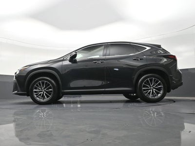2025 Lexus NX NX 250