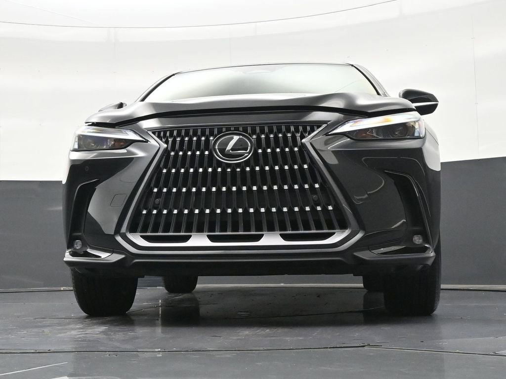 2025 Lexus NX NX 250