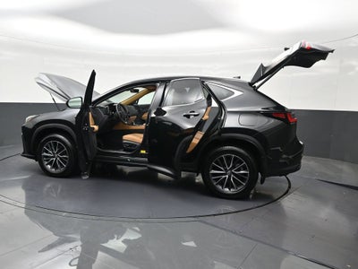 2025 Lexus NX NX 250