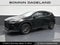 2023 Lexus NX NX 250