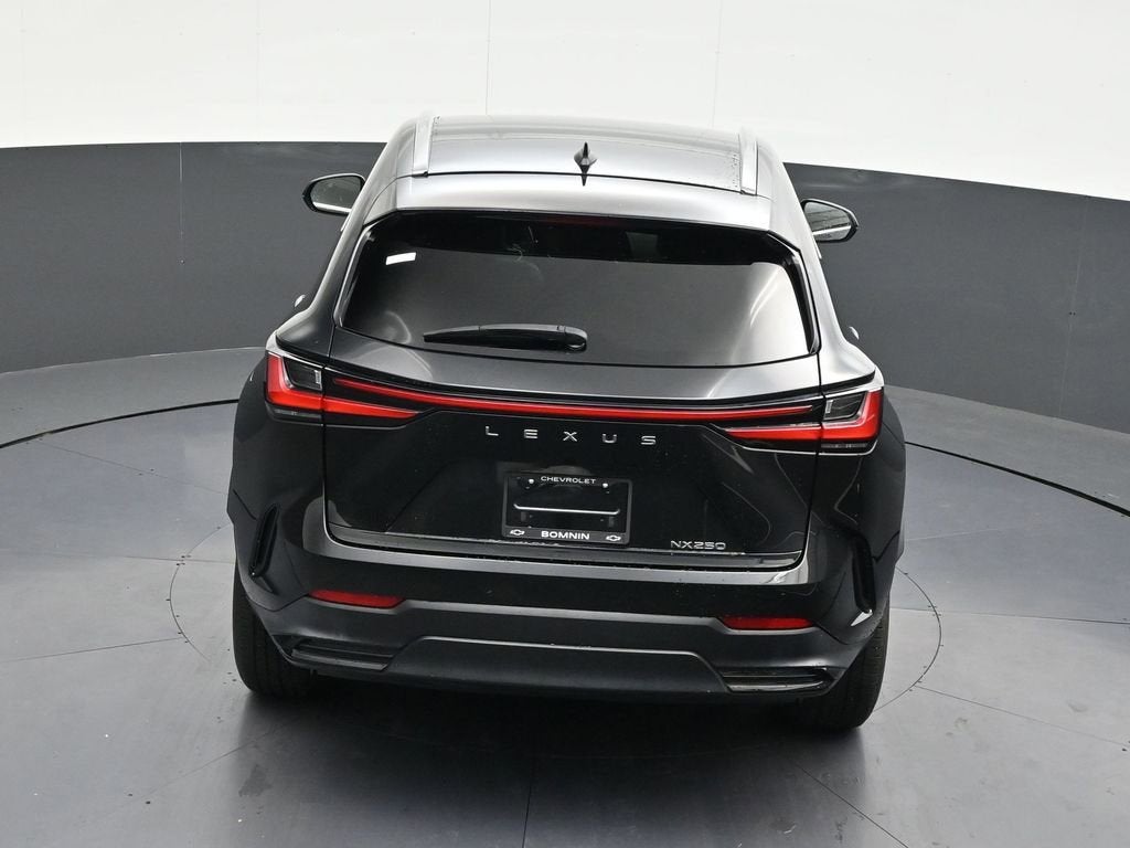 2023 Lexus NX NX 250