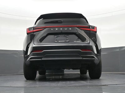 2023 Lexus NX NX 250
