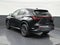 2023 Lexus NX NX 250