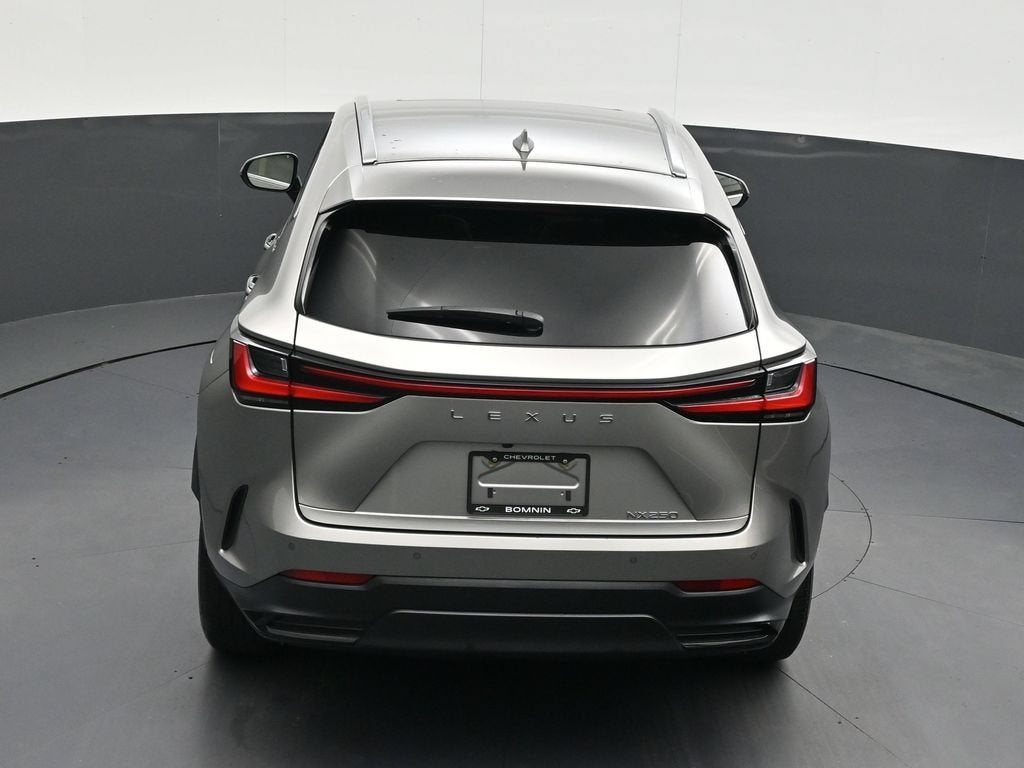 2024 Lexus NX NX 250 Premium