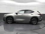 2024 Lexus NX NX 250 Premium