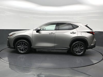 2024 Lexus NX NX 250 Premium