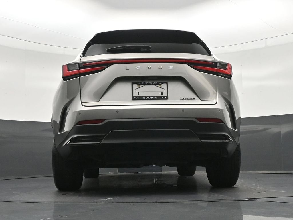 2024 Lexus NX NX 250 Premium