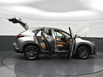 2024 Lexus NX NX 250 Premium