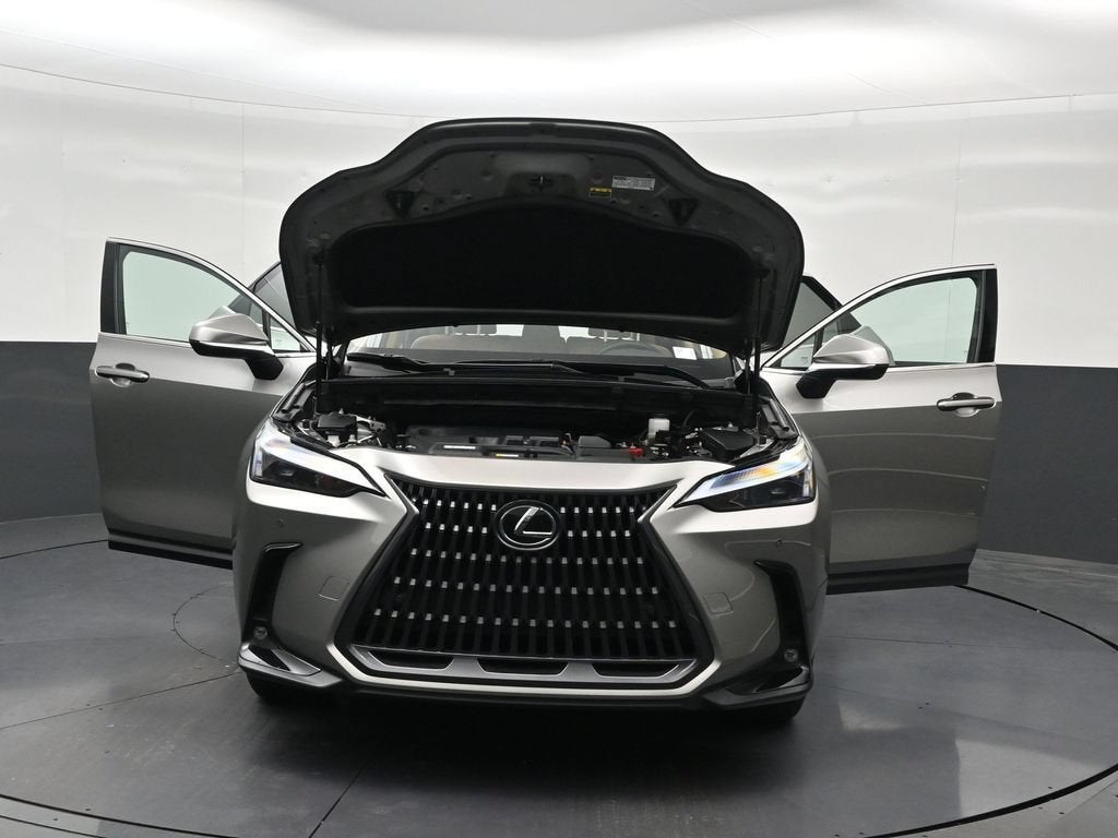 2024 Lexus NX NX 250 Premium
