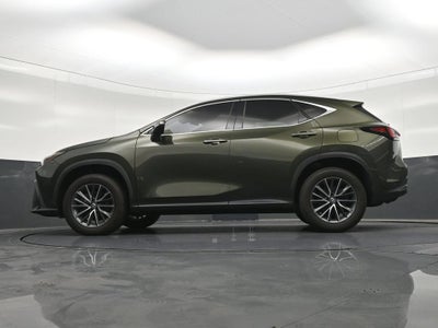 2024 Lexus NX 250 Premium