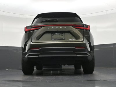 2024 Lexus NX 250 Premium