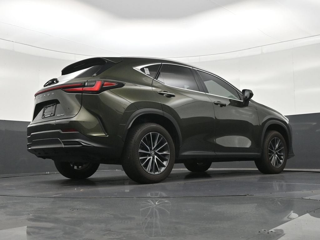 2024 Lexus NX 250 Premium