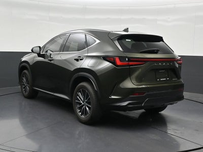 2024 Lexus NX 250 Premium