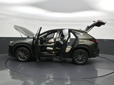 2024 Lexus NX 250 Premium