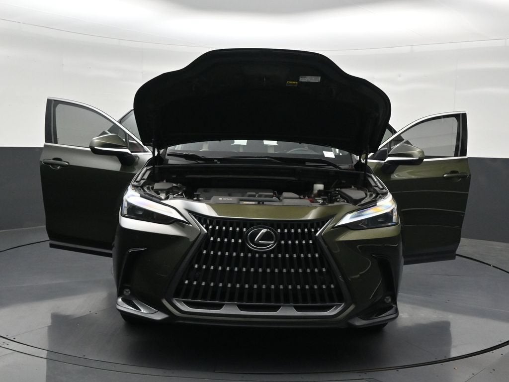 2024 Lexus NX 250 Premium