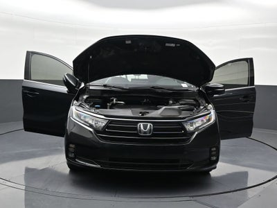 2024 Honda Odyssey Sport