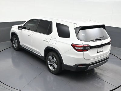 2023 Honda Pilot EX-L 8 Passenger