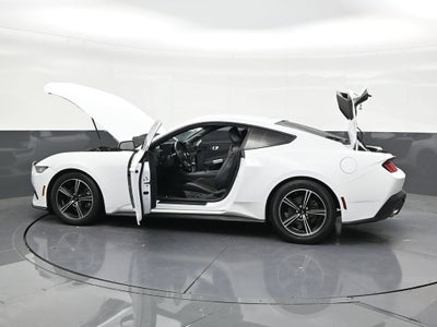2024 Ford Mustang EcoBoost