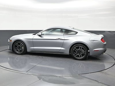2022 Ford Mustang EcoBoost Fastback