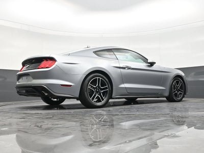 2022 Ford Mustang EcoBoost Fastback