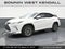 2021 Lexus RX 350 RX 350