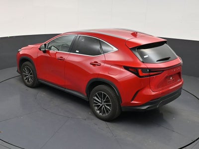 2025 Lexus NX 250 Premium