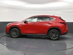 2025 Lexus NX 250 Premium