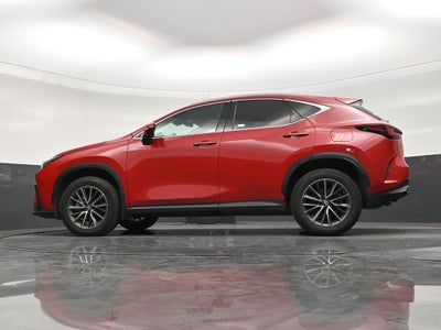 2025 Lexus NX 250 Premium