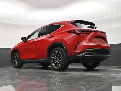2025 Lexus NX 250 Premium