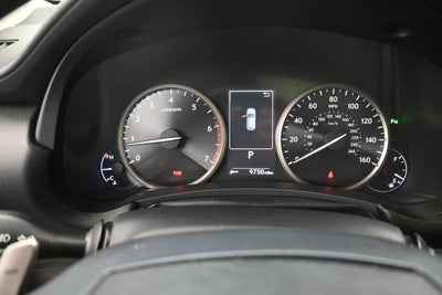 2019 Lexus NX 300 F SPORT