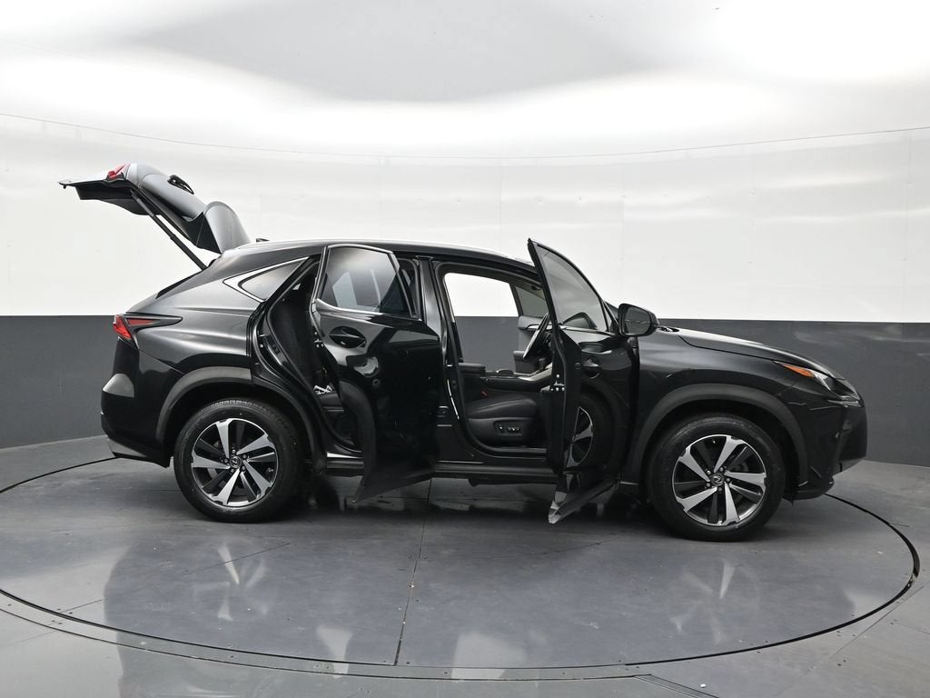 2019 Lexus NX 300 F SPORT