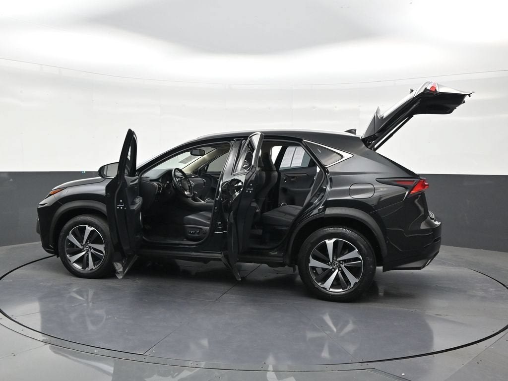 2019 Lexus NX 300 F SPORT