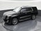2019 Cadillac Escalade Standard