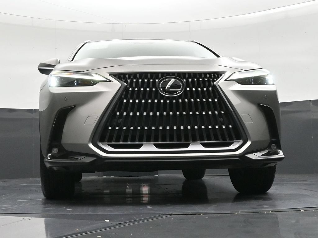 2025 Lexus NX 250 NX 250