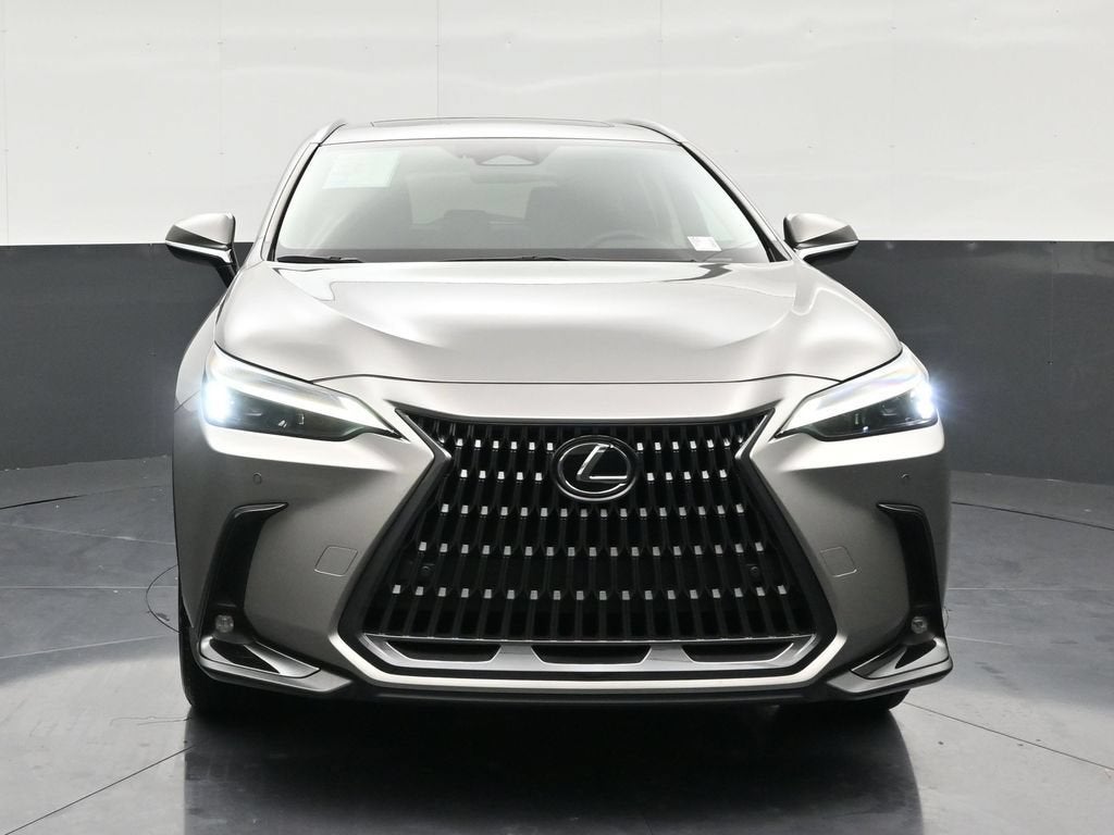 2025 Lexus NX 250 NX 250