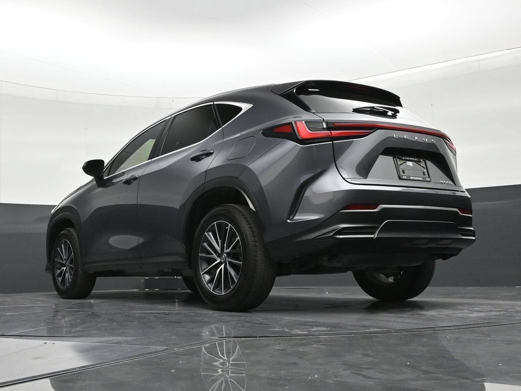 2023 Lexus NX 250 NX 250