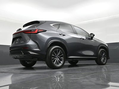 2023 Lexus NX 250 NX 250