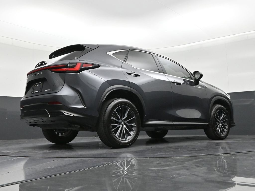 2023 Lexus NX 250 NX 250
