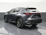 2023 Lexus NX 250 NX 250