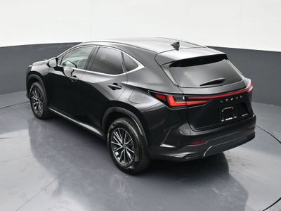 2024 Lexus NX NX 250