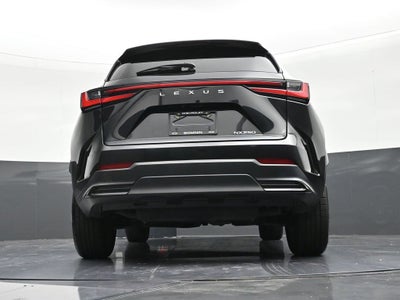 2024 Lexus NX NX 250