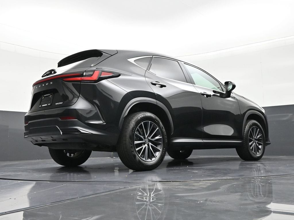 2024 Lexus NX NX 250