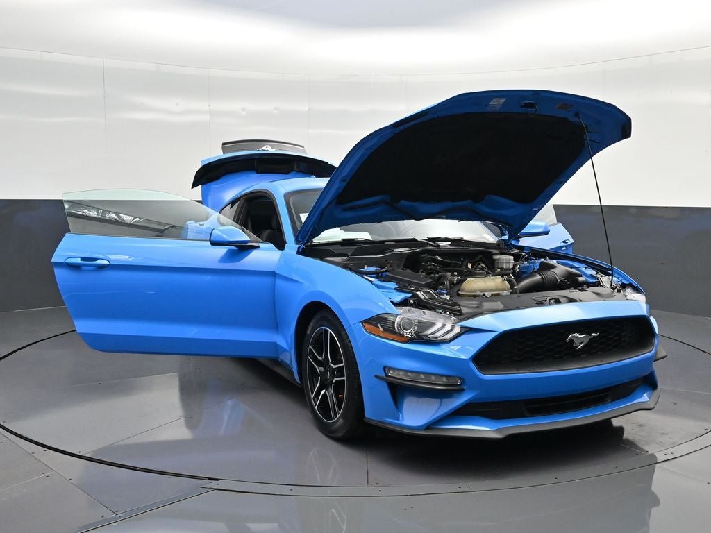 2023 Ford Mustang EcoBoost