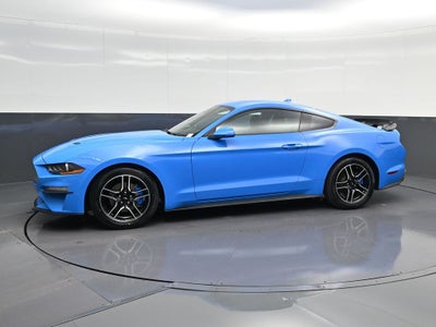 2023 Ford Mustang EcoBoost